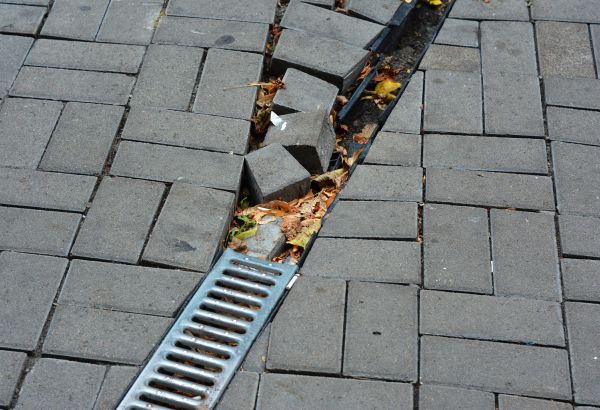 Landscape Drainage Improvement